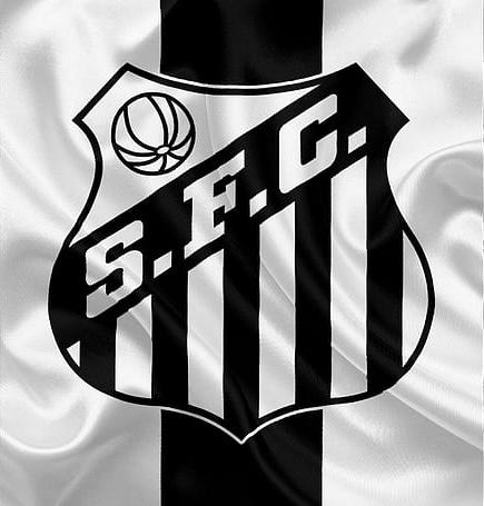 Logo SANTOS FC - 1 